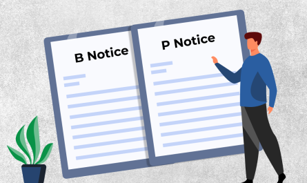 A Guide on IRS B & P Notices